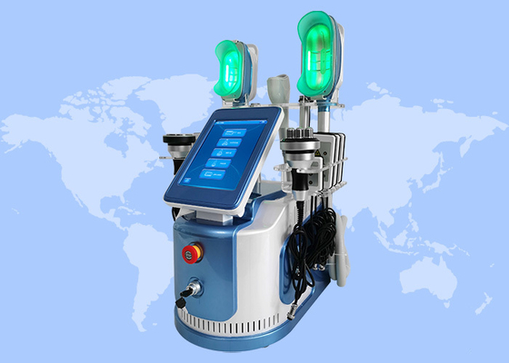 Ente di raffreddamento multifunzionale di Cryolipolysis che dimagrisce macchina per il salone di bellezza