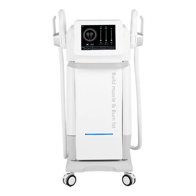 Buon prezzo 2 manuale 5 modalità Electro Magnetic body Slim Nero RF 30000Muscle Sculpt Fat Burning Machine in linea