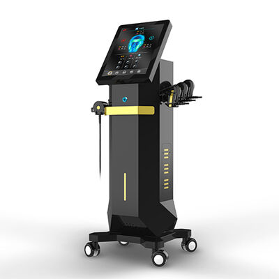 Buon prezzo EMRF 3 in 1 massaggiatore RET FACE Facial Lifting Firming Sculpting  Electo Magenetic Body Slimmingting Machine in linea