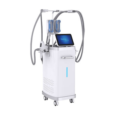 Buon prezzo Macchina dimagrante 5in1 Vacuum RF Criolipolisi Riduzione Cellulite Perdita di Grasso Velashaping in linea