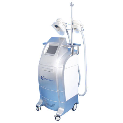 Buon prezzo Vacuum Cryolipolysis/ente fresco che scolpisce la macchina di riduzione celluliti di Criolipolisis/della membrana in linea