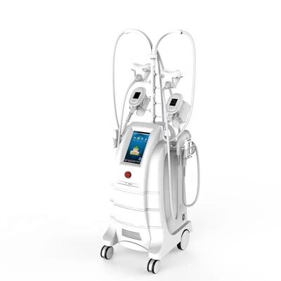 Buon prezzo Perdita di peso 800VA Cryolipolysis del salone che dimagrisce macchina in linea