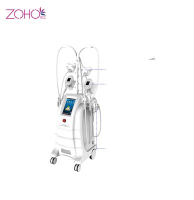 Buon prezzo Perdita di peso Cryolipolysis che dimagrisce la liposuzione di congelamento grassa 80kpa della macchina in linea
