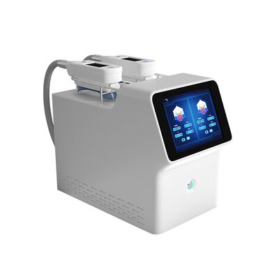 Buon prezzo Lle maniglie Cryolipolysis da 360 gradi 2 che dimagrisce perdita di peso portatile della macchina in linea