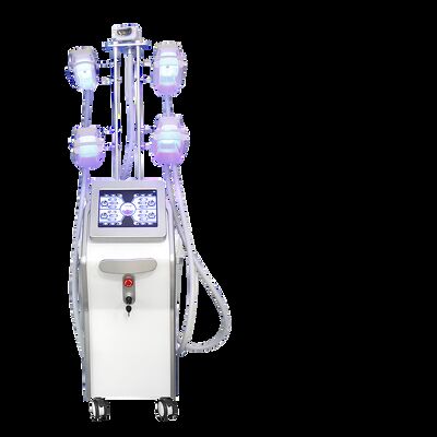 Buon prezzo Macchina di Cryolipolysis di perdita di peso di 4 maniglie/cavitazione di congelamento grassa di vuoto che dimagrisce macchina in linea