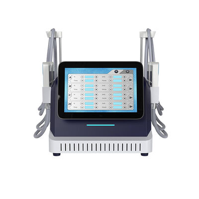 Buon prezzo 2 in 1 Cryo Plate e EMS Slimming Machine per il rigonfiamento della pelle con congelazione del grasso in linea