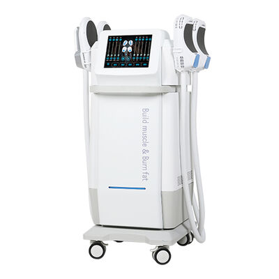 Buon prezzo Stimolazione muscolare elettromagnetica Sculpting del corpo Perdita di peso Neo RF Emslin Machine in linea