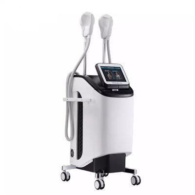 Buon prezzo Corpo 2.3KVA che dimagrisce lo stimolatore del muscolo di 220v 300µS SME in linea