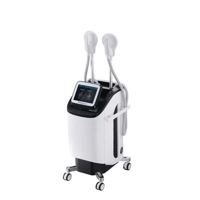 Buon prezzo 300µS macchina della clinica 220v EMT Cavitation Body Slimming in linea