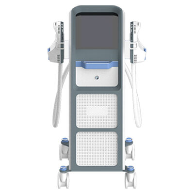 Buon prezzo Costruzione muscolare Hi Emt Machine 1-100 Hz Frequenza EMS sul grasso della pancia in linea