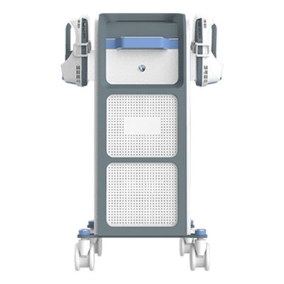 Buon prezzo 13tesla Stimolazione muscolare elettromagnetica in linea