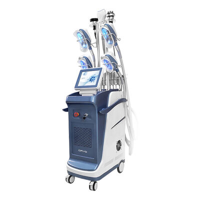 9 in 1 vuoto 800VA Cryolipolysis che dimagrisce macchina