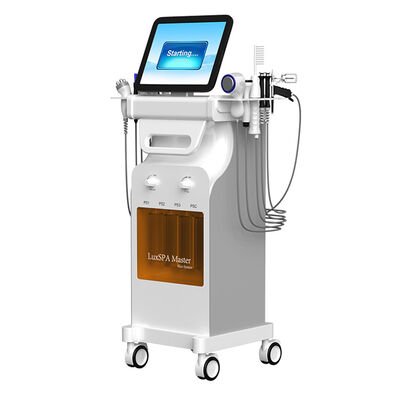 Buon prezzo 15 pollici touch screen ossigeno a getto polare RF plasma rimozione di punti neri Hydro Dermabrasion Machine In linea
