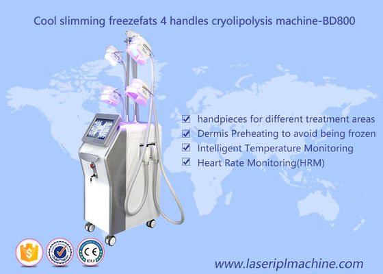 Buon prezzo Macchina di Cryolipolysis di perdita di peso di 4 maniglie/cavitazione di congelamento grassa di vuoto che dimagrisce macchina in linea