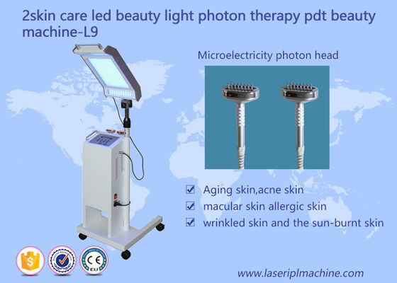 Buon prezzo 10HZ 415mm Skin Care Facial Lifting PDT LED Beauty Light Therapy Machine in linea