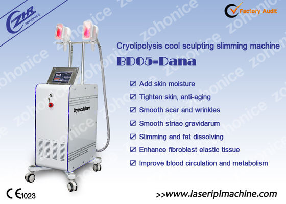 Buon prezzo 2 maniglia variabile Cryolipolysis che dimagrisce macchina con Membrance anticongelante in linea