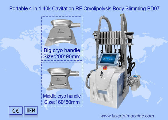 Buon prezzo 2 maniglia 650nm 1mhz Cryolipolysis che dimagrisce macchina in linea