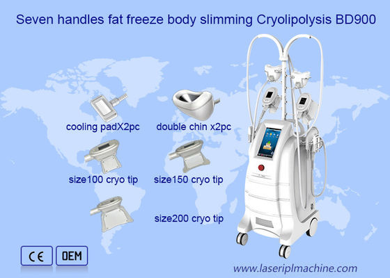 Buon prezzo Doppio di congelamento grasso Chine Removal Cryolipolysis Machine in linea
