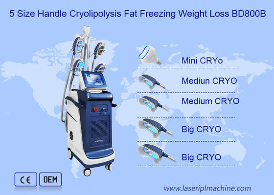 Buon prezzo Un doppio verticale Chin Cryolipolysis Slimming Machine di 360 angoli in linea