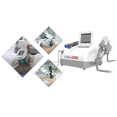 Buon prezzo Corpo di cavitazione di Cryolipolysis dell'onda di urto di 2 maniglie che dimagrisce macchina in linea