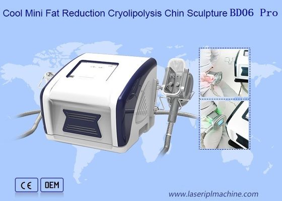 Buon prezzo macchina fresca di 12V Mini Fat Reduction Cryolipolysis Slimming in linea