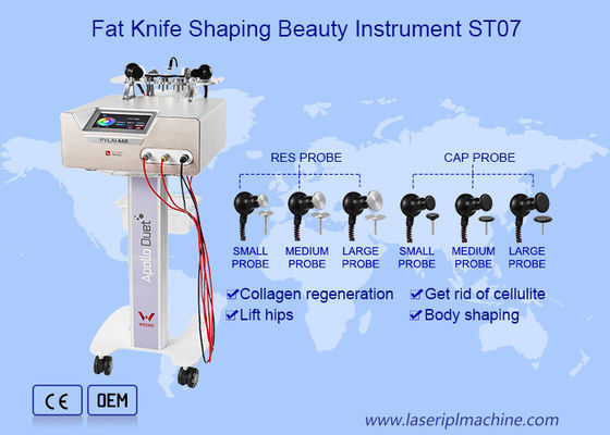 Buon prezzo Dimagramento portatile funzionale multiplo del corpo dell'attrezzatura di bellezza di ricerca rf del CAPPUCCIO in linea