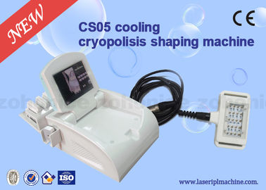 Ente di raffreddamento multifunzionale di Cryolipolysis che dimagrisce macchina per il salone di bellezza